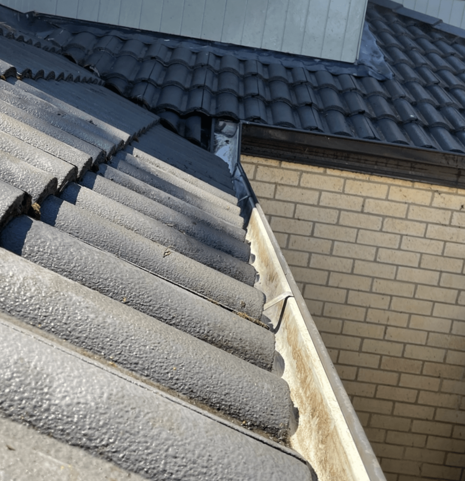 Gutter Cleaning After-min