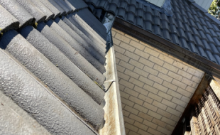 gutter cleaning (2)