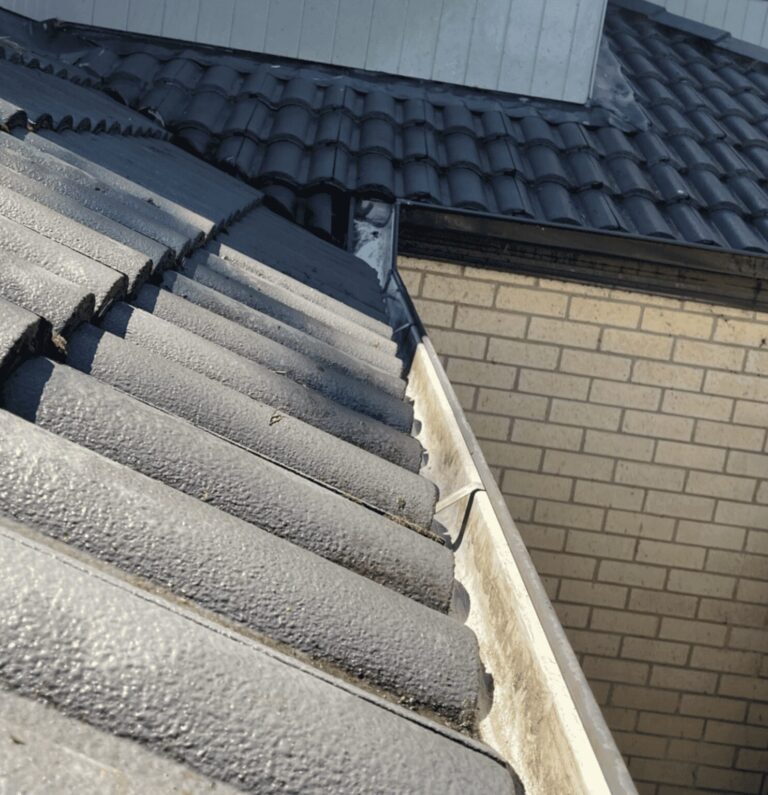 Professional gutter cleaning – after photo