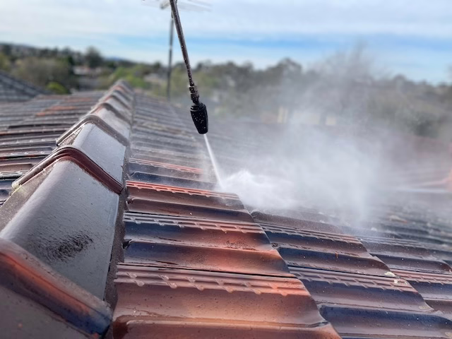 Professional roofing services